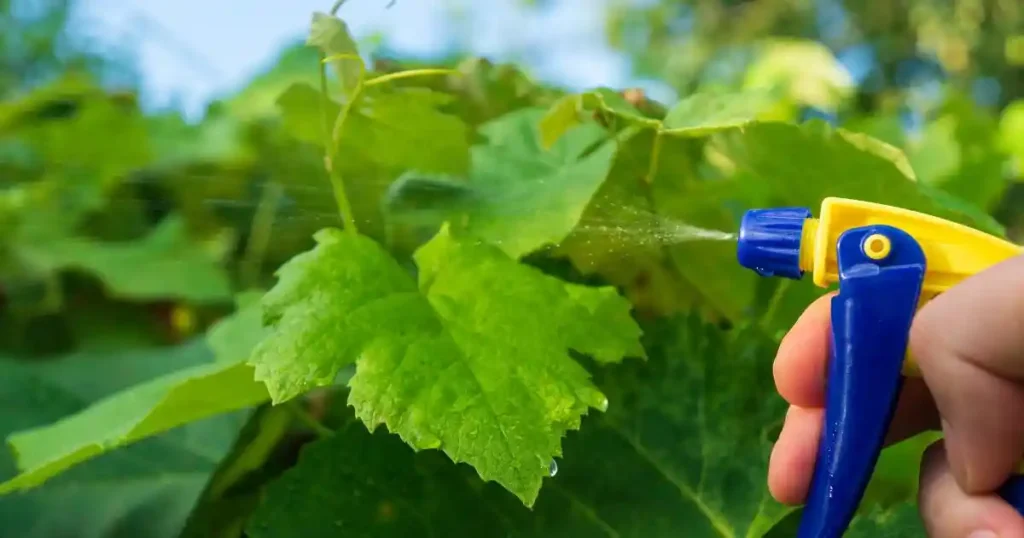 Pest control machine